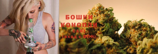 гашик Коряжма