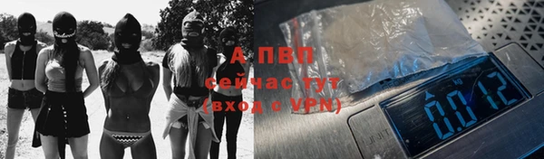 гашик Коряжма
