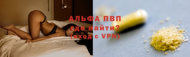 круглые Корсаков