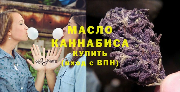 гашик Коряжма