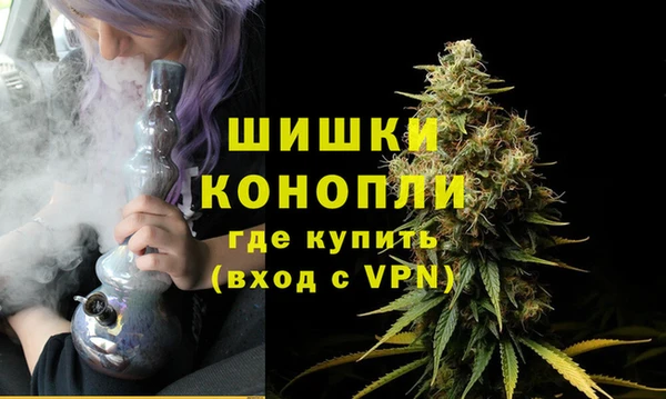 круглые Корсаков