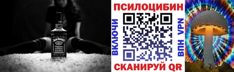Купить где  Куртамыш  Псилоцибиновые грибы ЛСД 